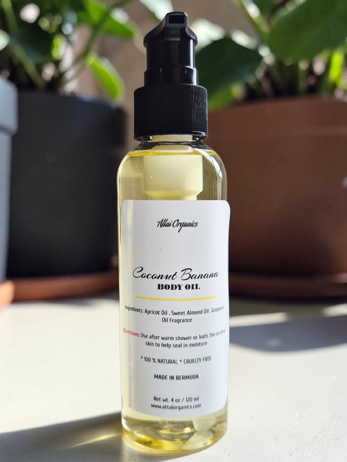 ' Coconut Banana ' Body Oil