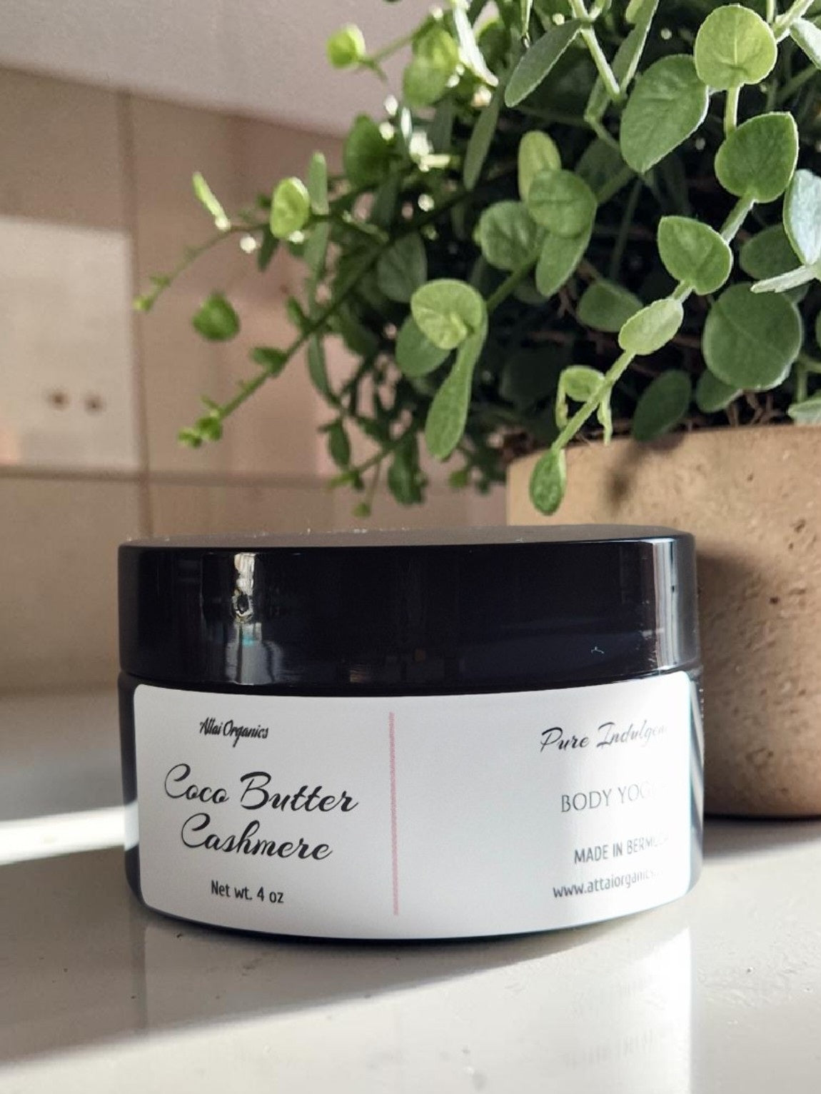 ' Coco Butter Cashmere ' Body Yogurt