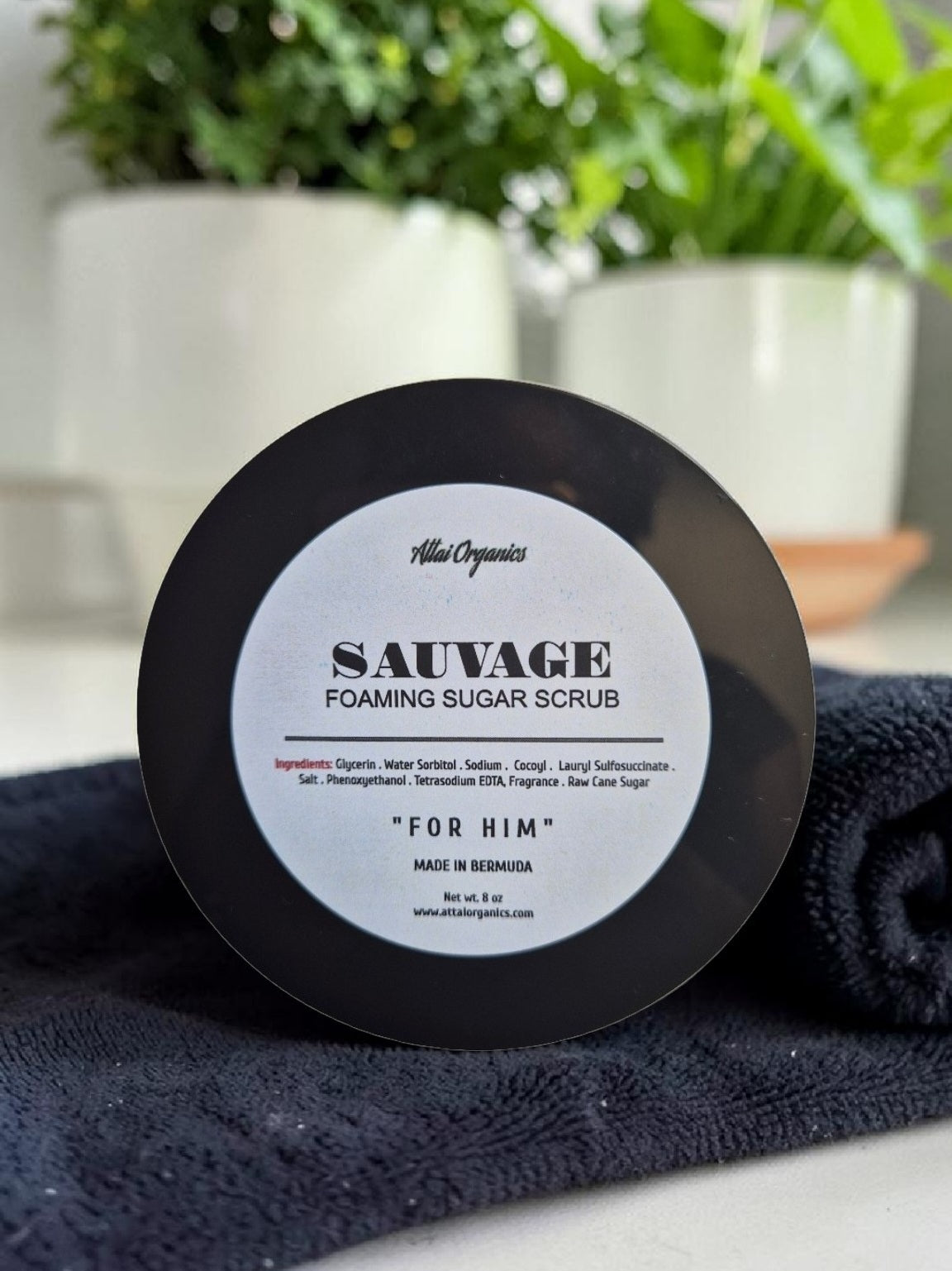 SIR Foaming Sugar Scrub