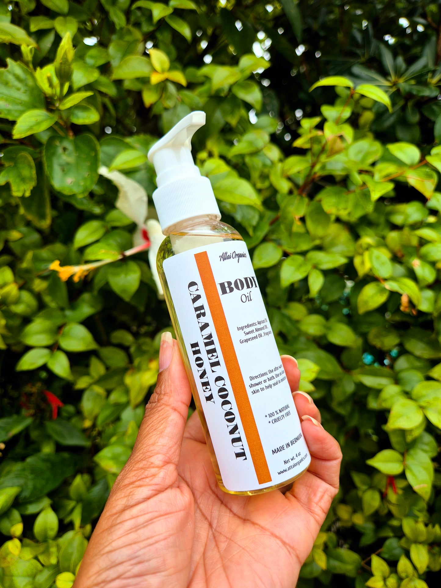 ' Caramel Coconut Honey ' Body Oil