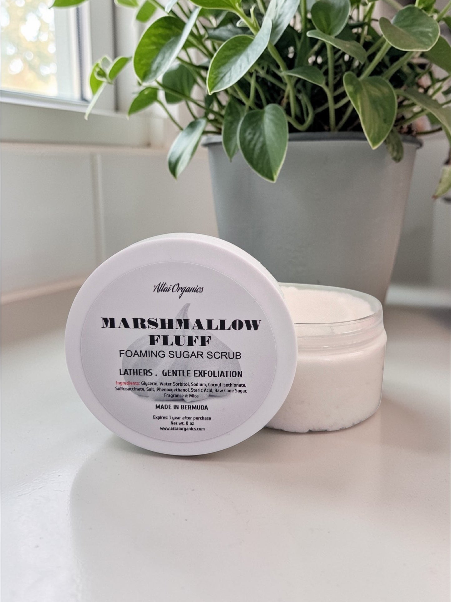 ' Marshmallow Fluff ' Foaming Sugar Scrub