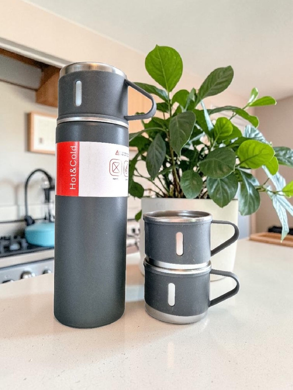 Stainless Steel Vacuum Bottle Set