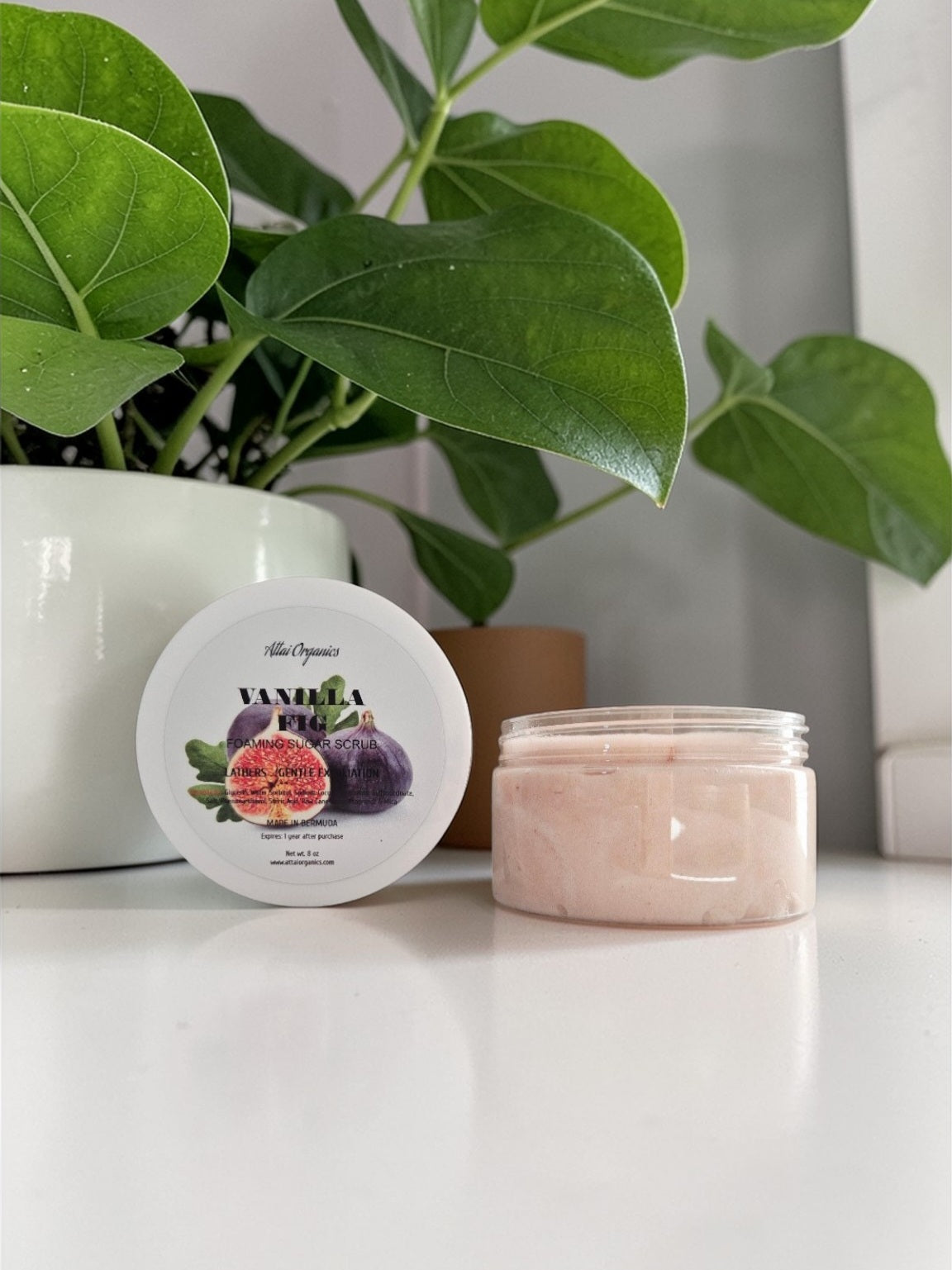 ' Vanilla Fig ' Foaming Sugar Scrub