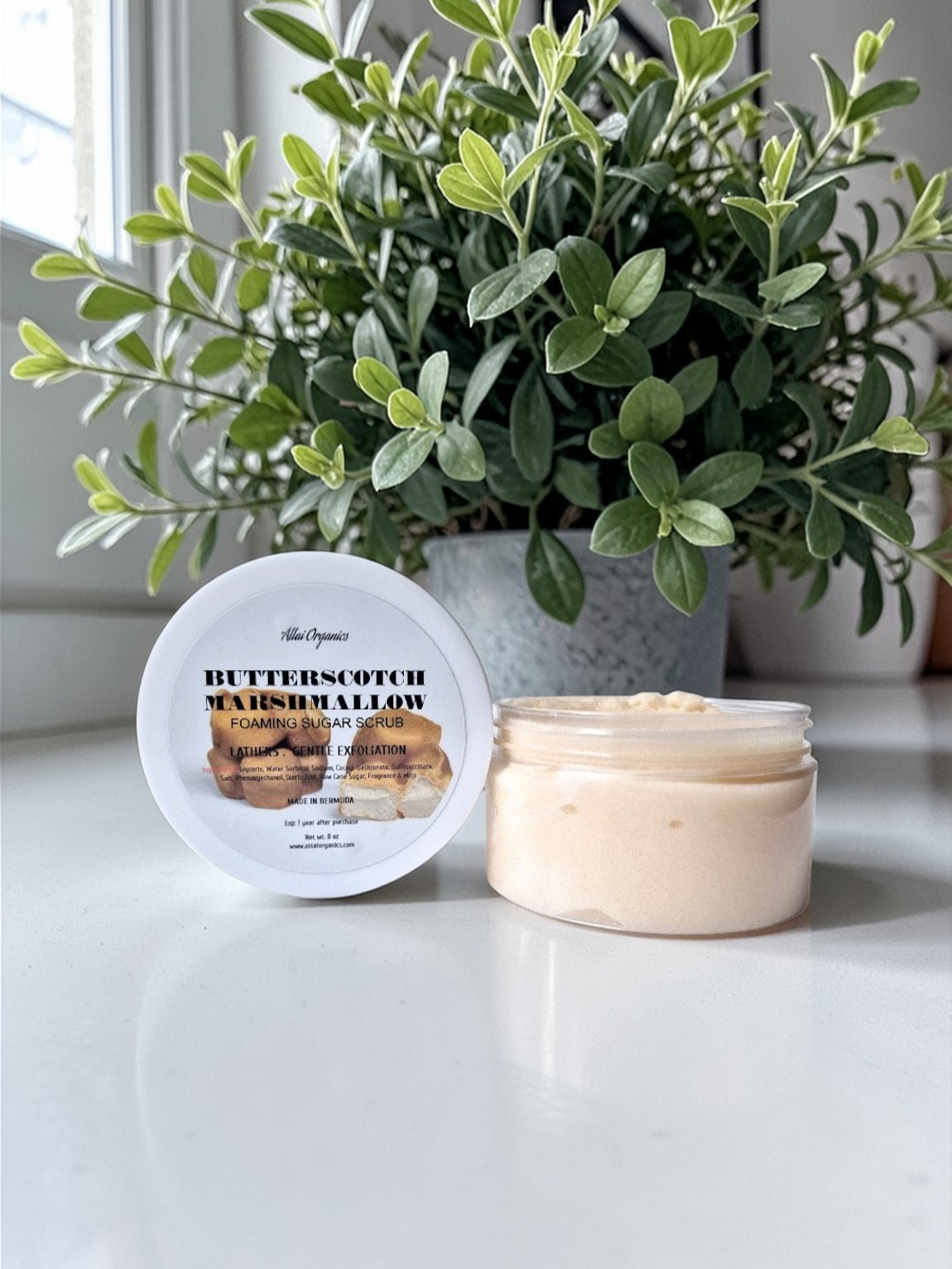 ' Butterscotch Marshmallow ' Foaming Sugar