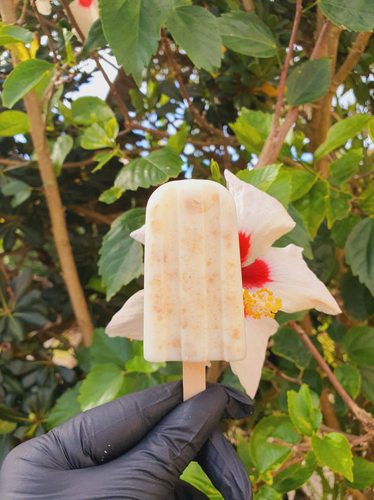 Oatmeal Popsicle Soap