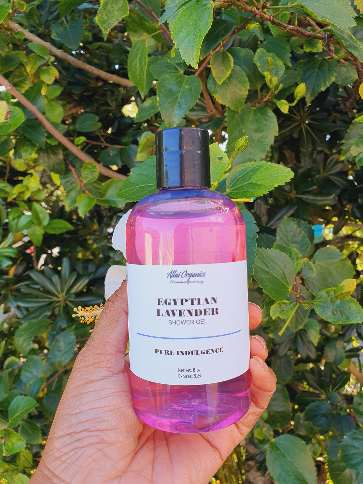 ‘Egyptian Lavender’ Shower Gel