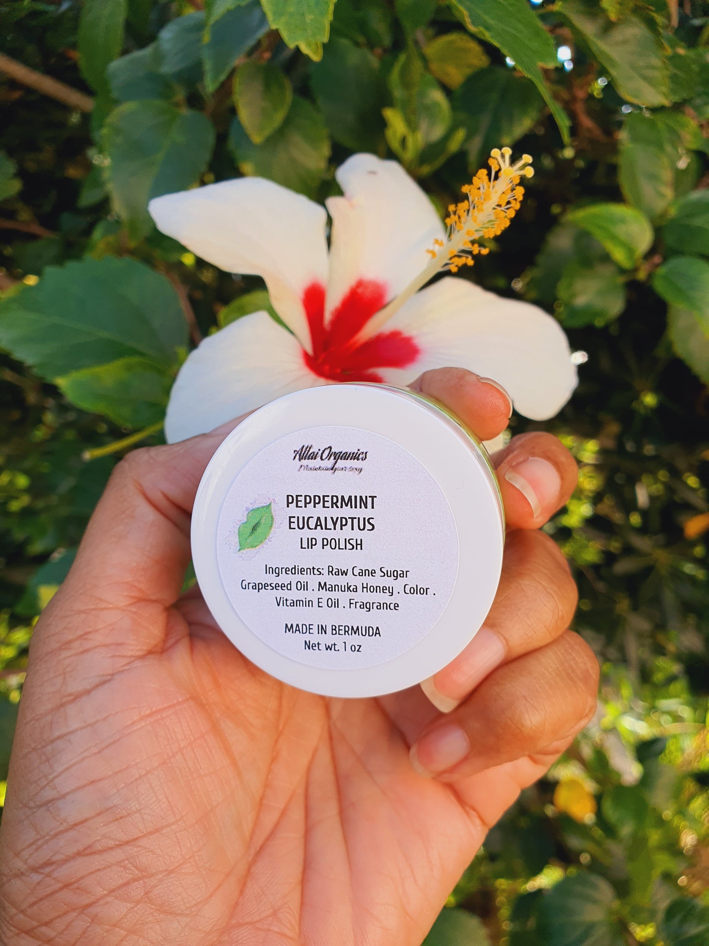 'Peppermint Eucalyptus' Kissable Lip Polish